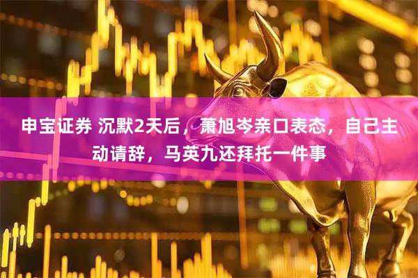 申宝证券 沉默2天后，萧旭岑亲口表态，自己主动请辞，马英九还拜托一件事