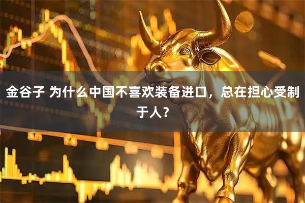 金谷子 为什么中国不喜欢装备进口，总在担心受制于人？