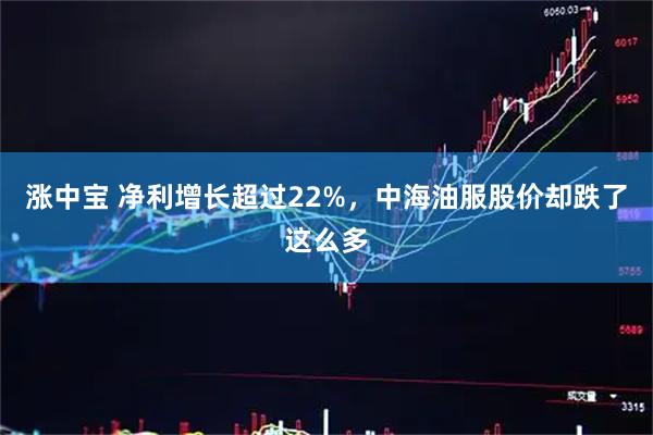 涨中宝 净利增长超过22%，中海油服股价却跌了这么多