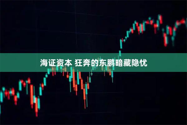 海证资本 狂奔的东鹏暗藏隐忧