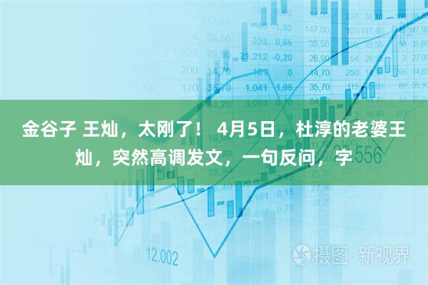 金谷子 王灿，太刚了！ 4月5日，杜淳的老婆王灿，突然高调发文，一句反问，字