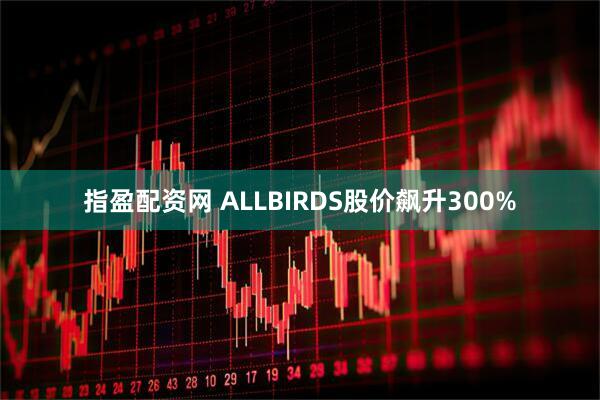 指盈配资网 ALLBIRDS股价飙升300%