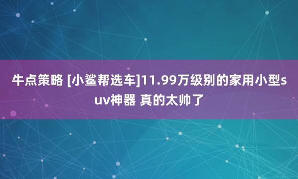 牛点策略 [小鲨帮选车]11.99万级别的家用小型suv神器 真的太帅了