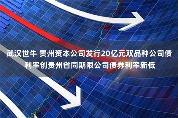 武汉世牛 贵州资本公司发行20亿元双品种公司债 利率创贵州省同期限公司债券利率新低