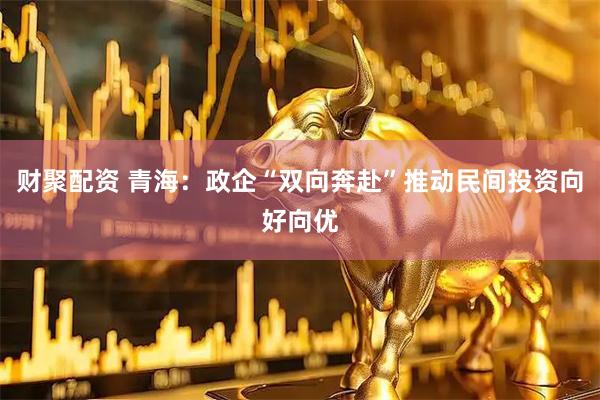 财聚配资 青海：政企“双向奔赴”推动民间投资向好向优