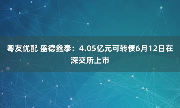 粤友优配 盛德鑫泰：4.05亿元可转债6月12日在深交所上市