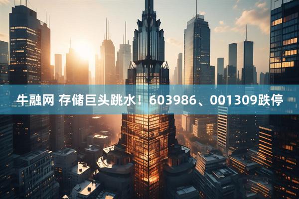 牛融网 存储巨头跳水!603986、001309跌停
