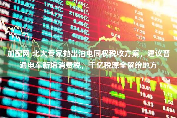 加配网 北大专家抛出油电同权税收方案，建议普通电车新增消费税，千亿税源全留给地方