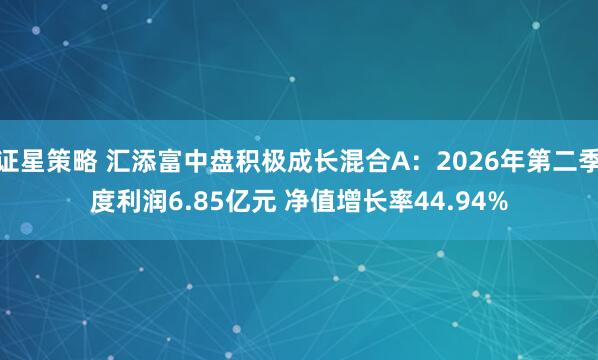 证星策略 汇添富中盘积极成长混合A：2026年第二季度利润6.85亿元 净值增长率44.94%